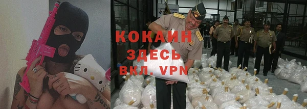 индика Балабаново
