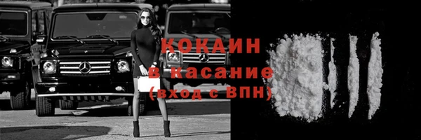 прущие грибы Баксан