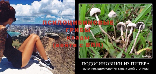 гидра Балахна