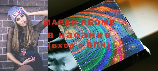 прущие грибы Баксан