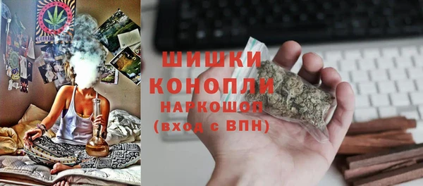 прущие грибы Баксан