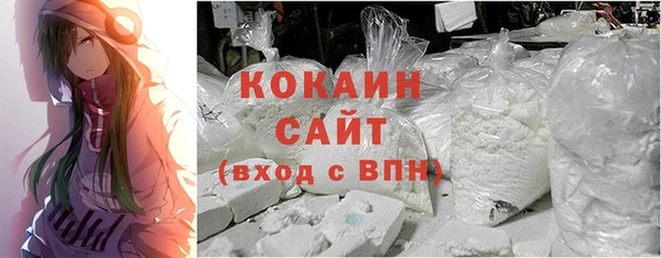 прущие грибы Баксан