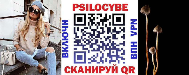 OMG tor сколько стоит Зеленодольск Псилоцибиновые грибы Psilocybine cubensis